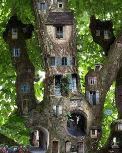 treehouse1